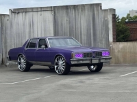 1983 Oldsmobile Delta 88 for sale in Michigan (ID-142726)