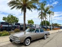 1983 Oldsmobile Delta 88 for sale in Michigan (ID-162825)