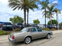 1983 Oldsmobile Delta 88 for sale in Michigan (ID-162825)