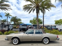 1983 Oldsmobile Delta 88 for sale in Michigan (ID-162825)