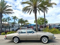 1983 Oldsmobile Delta 88 for sale in Michigan (ID-162825)