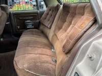 1983 Oldsmobile Delta 88 for sale in Michigan (ID-162825)
