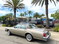 1983 Oldsmobile Delta 88 for sale in Michigan (ID-162825)