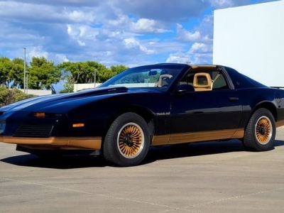 1983 Pontiac Firebird for sale