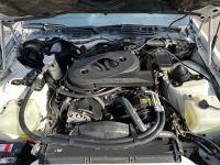 1983 Pontiac Trans Am for sale in Addison, Illinois (ID-127007)