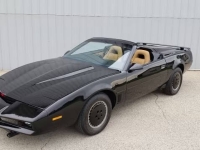 1983 Pontiac Firebird for sale in Addison, Illinois (ID-138215)