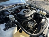 1983 Pontiac Firebird for sale in Michigan (ID-163151)