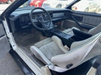 1983 Pontiac Firebird for sale in Michigan (ID-163151)