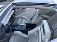 1983 Pontiac Firebird for sale in Michigan (ID-163151)
