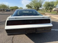 1983 Pontiac Firebird for sale in Michigan (ID-163151)
