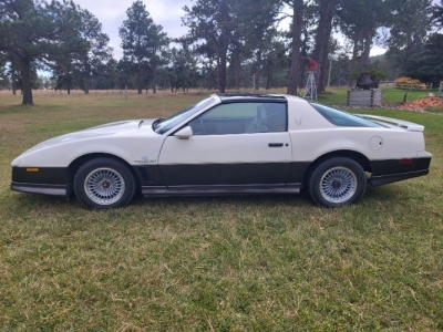 1983 Pontiac Trans Am for sale