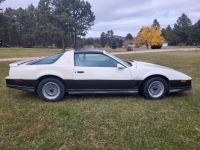 1983 Pontiac Trans Am for sale in Michigan (ID-142367)