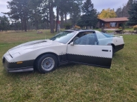 1983 Pontiac Trans Am for sale in Michigan (ID-142367)