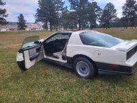 1983 Pontiac Trans Am for sale in Michigan (ID-142367)