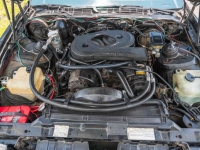 1983 Pontiac Trans Am for sale (ID-142986)