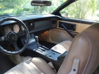 1983 Pontiac Trans Am for sale in Michigan (ID-143555)