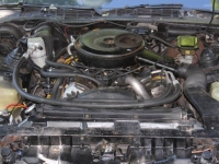 1983 Pontiac Trans Am for sale in Michigan (ID-143555)