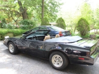 1983 Pontiac Trans Am for sale in Michigan (ID-143555)
