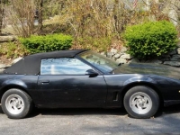 1983 Pontiac Trans Am for sale in Michigan (ID-143555)