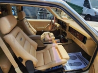 1983 Zimmer Golden Spirit for sale in Michigan (ID-129953)