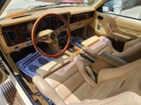 1983 Zimmer Golden Spirit for sale in Michigan (ID-129953)