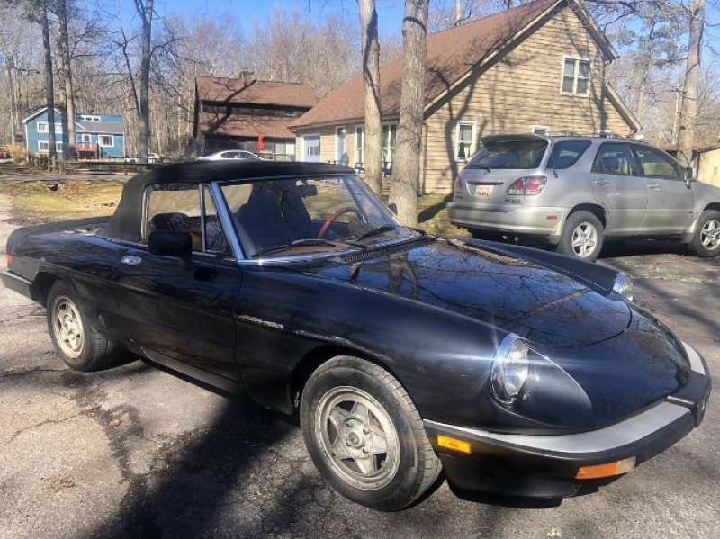 1984 Alfa Romeo Spider Veloce for sale in Michigan (ID-88732) 1984 Alfa Romeo Spider Veloce for sale in Michigan (ID-88732)
