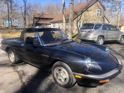 1984 Alfa Romeo Spider Veloce for sale