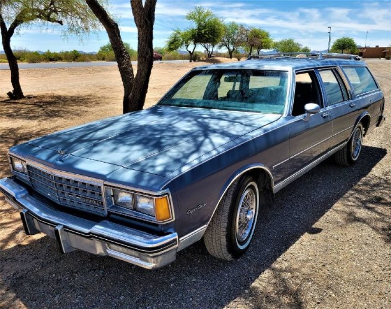 1984 Chevrolet Caprice Classic for sale in Michigan (ID-91569) 1984 Chevrolet Caprice Classic for sale in Michigan (ID-91569)