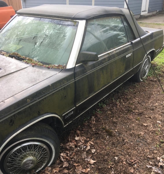 1984 Chrysler LeBaron for sale in Portland (Oregon), Oregon (ID-97395)