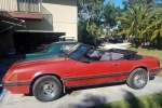 1984 Ford Mustang for sale in Florida (ID-32679)