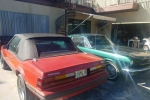 1984 Ford Mustang for sale in Florida (ID-32679)