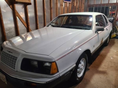 1984 Ford Thunderbird for sale