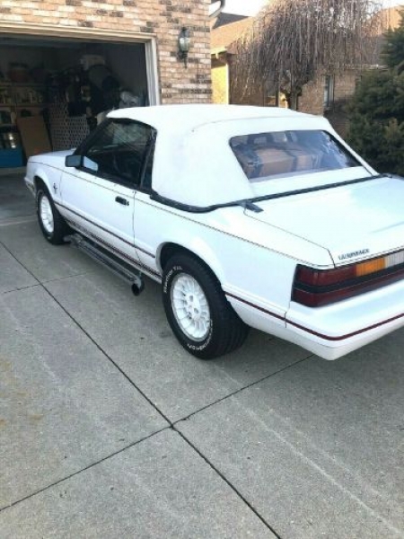 1984 Ford Mustang for sale in Michigan (ID-87691)