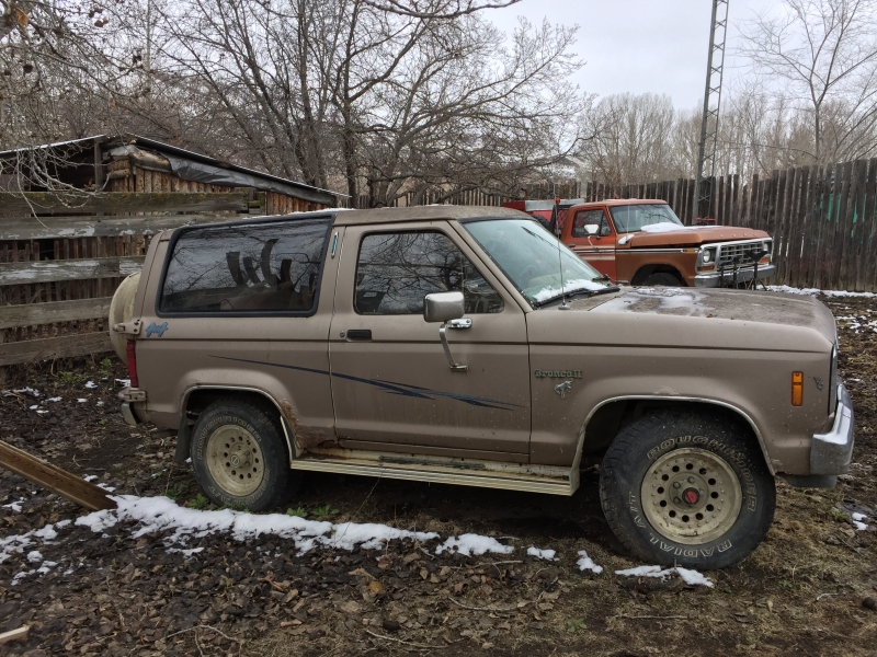 1984 Ford Bronco II for sale in Airdrie, Alberta (ID-116754) 1984 Ford Bronco II for sale in Airdrie, Alberta (ID-116754)
