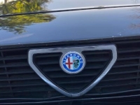 1984 Alfa Romeo GTV6 for sale in Michigan (ID-127376)