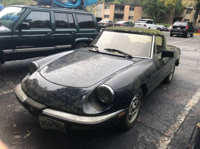 1984 Alfa Romeo Spider for sale in Michigan (ID-107349)