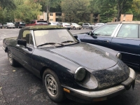 1984 Alfa Romeo Spider for sale in Michigan (ID-107349)