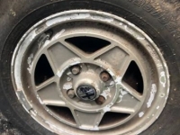 1984 Alfa Romeo Spider for sale in Michigan (ID-107349)