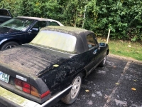 1984 Alfa Romeo Spider for sale in Michigan (ID-107349)
