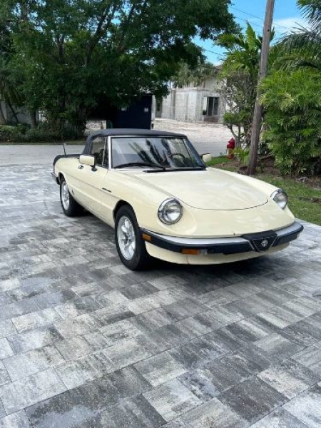 1984 Alfa Romeo Spider for sale in Michigan (ID-117841) 1984 Alfa Romeo Spider for sale in Michigan (ID-117841)