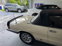1984 Alfa Romeo Spider for sale in Michigan (ID-117841)