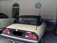 1984 Alfa Romeo Spider for sale in Michigan (ID-117841)