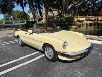 1984 Alfa Romeo Spider for sale in Michigan (ID-161338)