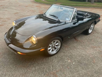 1984 Alfa Romeo Spider Veloce for sale