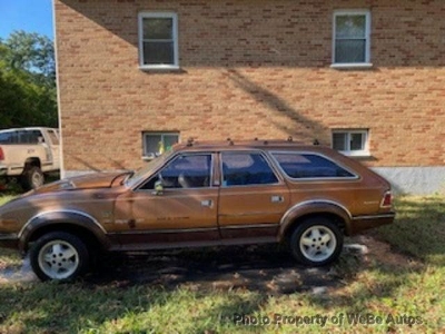 1984 AMC Eagle for sale