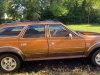 1984 AMC Eagle for sale in Mastic Beach NY 11951, Abilene (ID-145303)