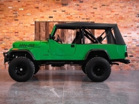 1984 AMC Jeep for sale in Michigan (ID-164382)
