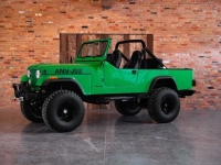 1984 AMC Jeep for sale in Michigan (ID-164382)