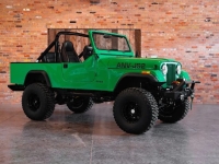 1984 AMC Jeep for sale in Michigan (ID-164382)