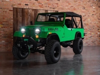 1984 AMC Jeep for sale in Michigan (ID-164382)